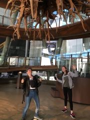 CC07D18A-3A0A-4A58-AE17-FDDB8F2E52CB CC07D18A-3A0A-4A58-AE17-FDDB8F2E52CB