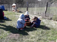 Resized_20190325_144258_8449 Resized_20190325_144258_8449