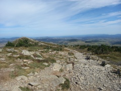 resized_20230928_114628 resized_20230928_114628