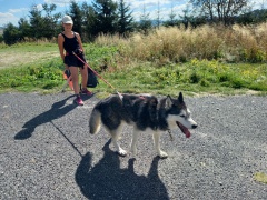 resized_20230929_142618 resized_20230929_142618