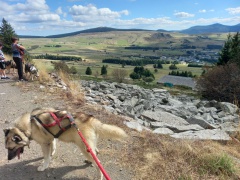 resized_20230929_145704 resized_20230929_145704