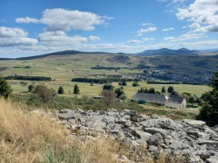 resized_20230929_145903 resized_20230929_145903