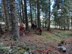 resized_20230929_151035 resized_20230929_151035