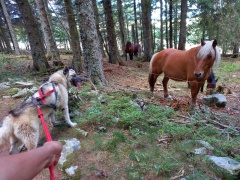 resized_20230929_151045 resized_20230929_151045