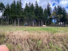 resized_IMG-20230929-WA0004 resized_IMG-20230929-WA0004