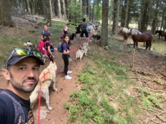 resized_IMG-20230929-WA0005 resized_IMG-20230929-WA0005