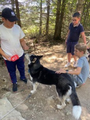 resized_IMG-20230929-WA0036 resized_IMG-20230929-WA0036