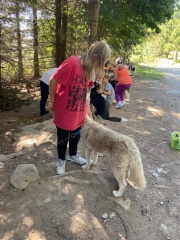 resized_IMG-20230929-WA0037 resized_IMG-20230929-WA0037