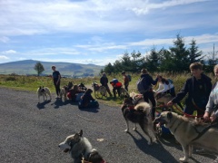 IMG-20240927-WA0007 IMG-20240927-WA0007