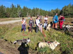 IMG-20240927-WA0010 IMG-20240927-WA0010