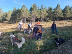 IMG-20240927-WA0011 IMG-20240927-WA0011