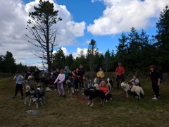 IMG-20240927-WA0023 IMG-20240927-WA0023