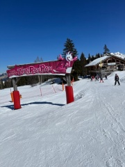 IMG-20250323-WA0001 IMG-20250323-WA0001