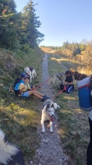 1000040857 1000040857