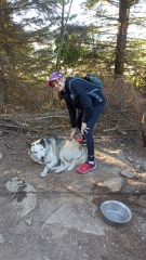 1000040876 1000040876