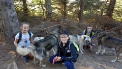 1000040877 1000040877