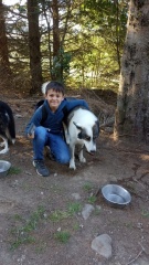 1000040878 1000040878