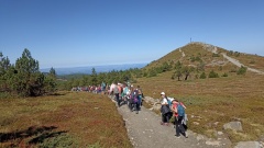 1000040884 1000040884