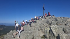 1000041019 1000041019