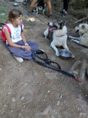 IMG_20250919_154641 IMG_20250919_154641