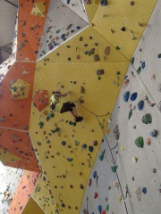 P1240208 (Copier) P1240208 (Copier)