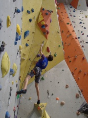 P1240269 (Copier) P1240269 (Copier)