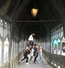 E4016DF8-B72C-4EF4-93BC-828348FC376C E4016DF8-B72C-4EF4-93BC-828348FC376C