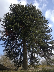 2CC29346-7570-4F46-82F4-7349319BA3FE 2CC29346-7570-4F46-82F4-7349319BA3FE